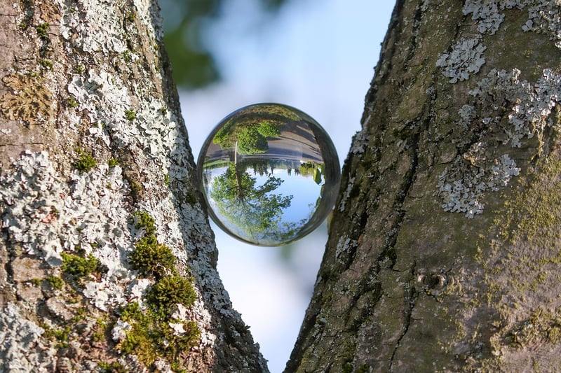 Esoteric Insights